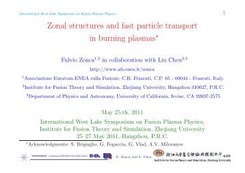 International West Lake Symposium on Fusion ... - ENEA AFS Cell