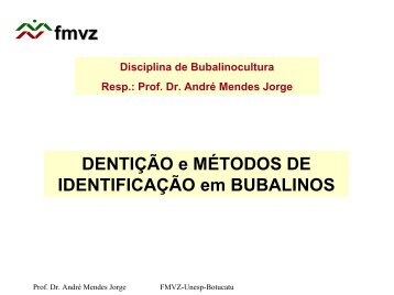 Dentição e Identificação em Bubalinos - Unesp