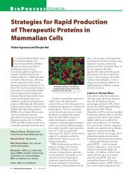 Strategies for Rapid Production of Therapeutic Proteins in ...