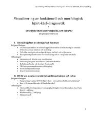 Visualisering av funktionell och morfologisk hjärt-kärl-diagnostik