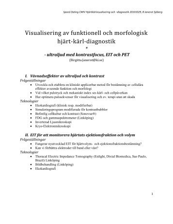 Visualisering av funktionell och morfologisk hjärt-kärl-diagnostik