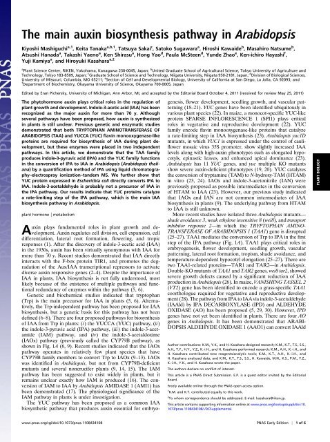 The main auxin biosynthesis pathway in Arabidopsis