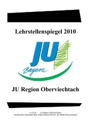 Lehrstellenspiegel 2010 JU Region Oberviechtach