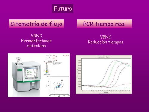 Servicios microbiológicos especializados en la industria del vino