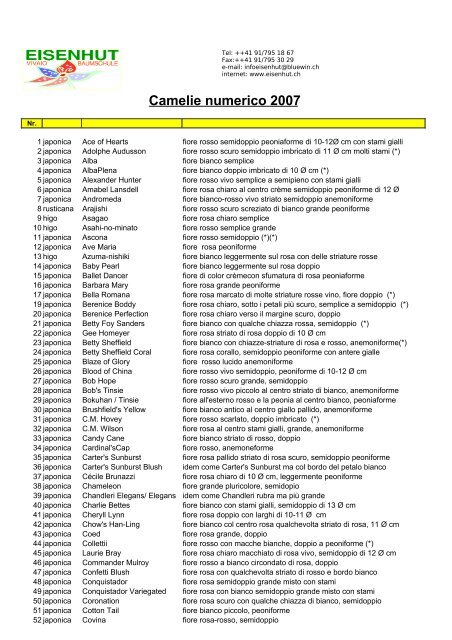 Camelie numerico 2007 - Eisenhut