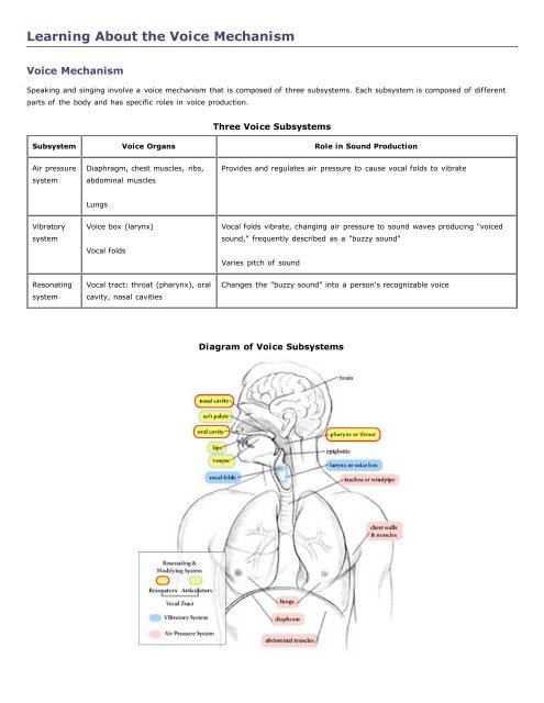 anatomy & physiology of voice production