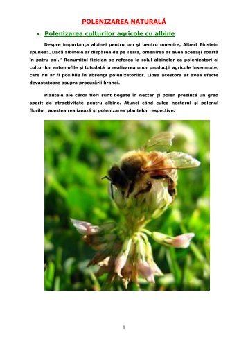 Polenizare naturala - Sera Eco Solara
