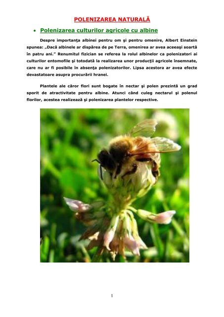 Polenizare naturala - Sera Eco Solara