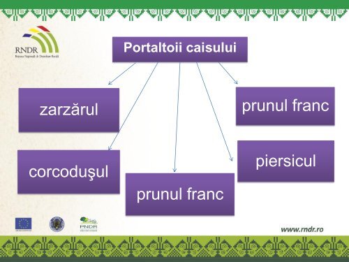 12. Materialul saditor - Prof. Rodica Moraru - RNDR...