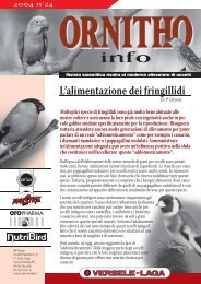 ORNITHO INFO 24 IT.indd - Versele-Laga