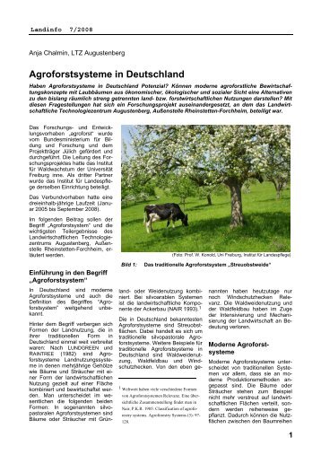 Agroforstsysteme in Deutschland - agroforst - Universität Freiburg