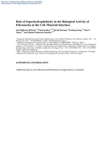 Role of Superhydrophobicity in the Biological Activity of Fibronectin ...