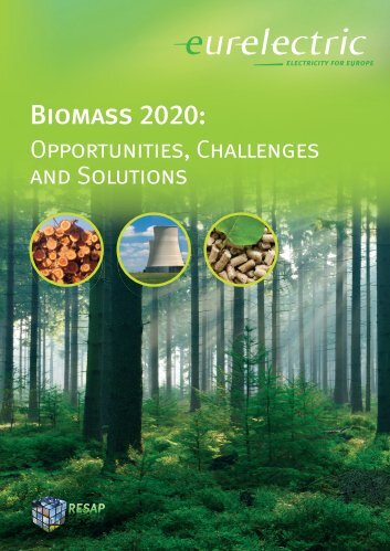 Biomass 2020: Opportunities, Challenges and Solutions - Eurelectric