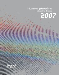Letno poročilo skupine Impol za leto 2007
