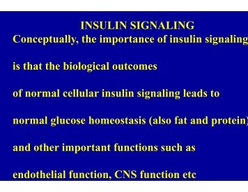 INSULIN C t ll th i Conceptually, the impo is that the biological ou of ...