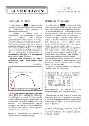 Enologia 1° parte - Degusta Giovane - Osvaldo Murri - Home