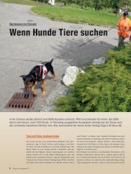 Wenn Hunde Tiere suchen - AUFRAD.CH Home