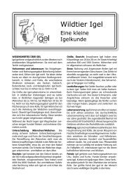 Wildtier Igel (Pdf) - Pro Igel