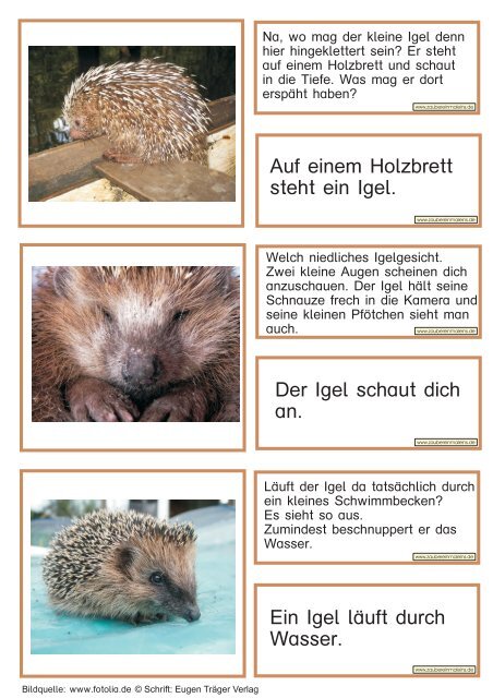 Der Igel streckt die Zunge heraus. Im Schuh ... - Zaubereinmaleins