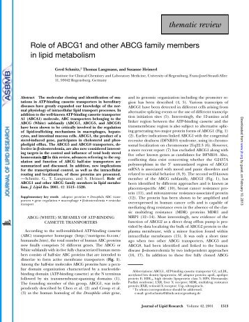 Role of ABCG1 and other ABCG family members in lipid metabolism