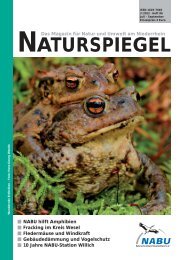 NATURSPIEGEL Heft 3 2012 - NABU Krefeld/Viersen