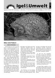 Igel & Umwelt 2006/2 (PDF 1.2 MB - Igelzentrum Zürich