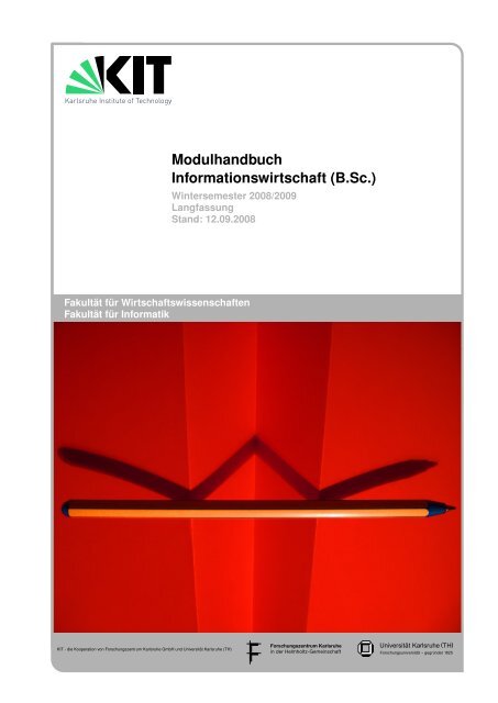 Modulhandbuch Informationswirtschaft (B.Sc.) - Fakultät für ...