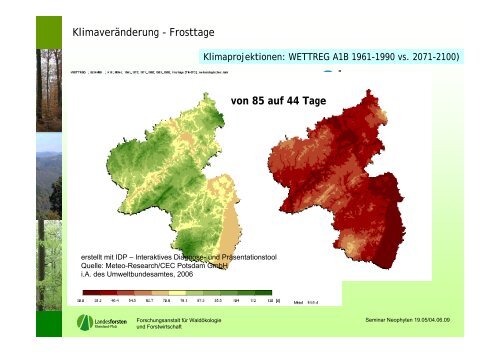 Neophyten in rheinland-pfälzischen Wäldern - Landesforsten ...