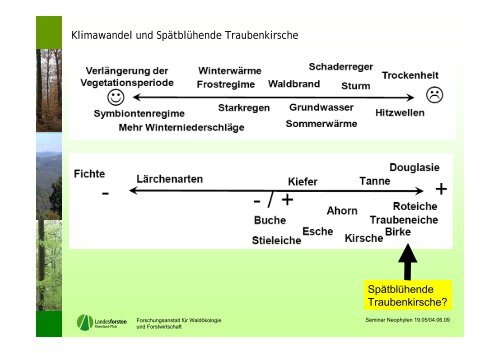 Neophyten in rheinland-pfälzischen Wäldern - Landesforsten ...