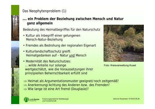 Neophyten in rheinland-pfälzischen Wäldern - Landesforsten ...