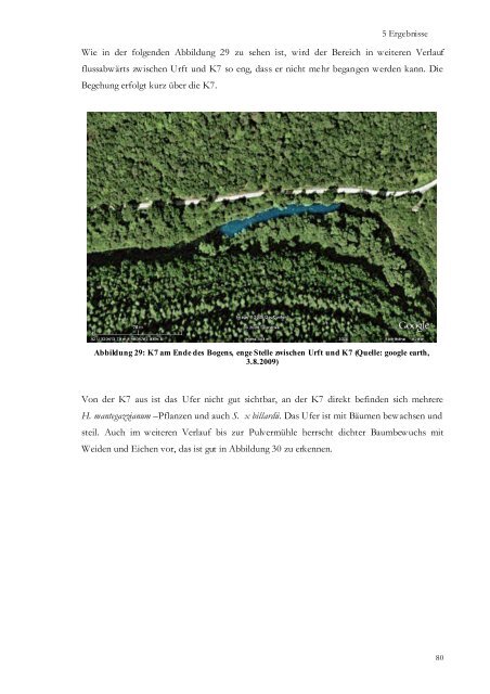 Gutachten von Katrin Brewitt zu Neophyten [PDF ... - Nationalpark Eifel