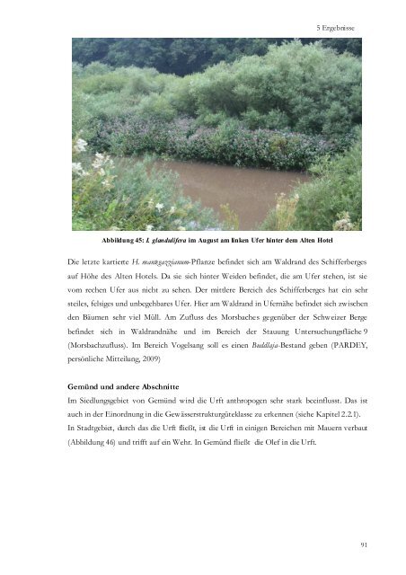 Gutachten von Katrin Brewitt zu Neophyten [PDF ... - Nationalpark Eifel