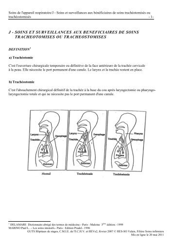 j - soins et surveillances aux beneficiaires de soins - GUTS - HES ...