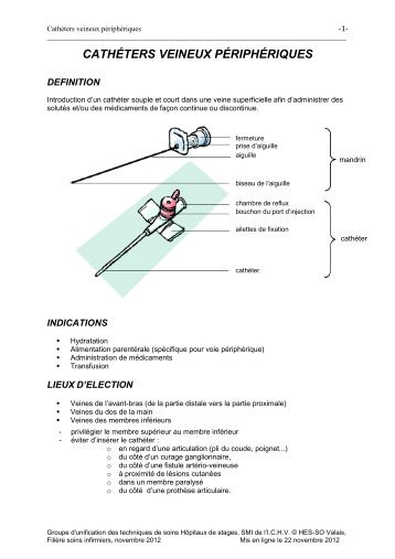 H. CATHETERS VEINEUX PERIPHERIQUES (NEW).pdf