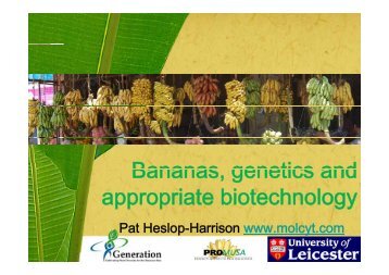 Bananas genetics and Bananas, genetics and appropriate ...