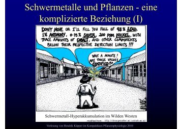 Schwermetalle und Pflanzen - eine komplizierte Beziehung (I)