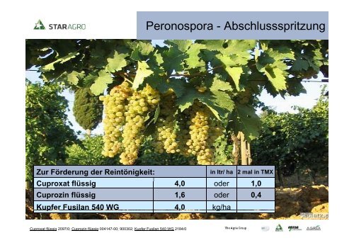 Krankheiten und Schädlinge im Weinbau