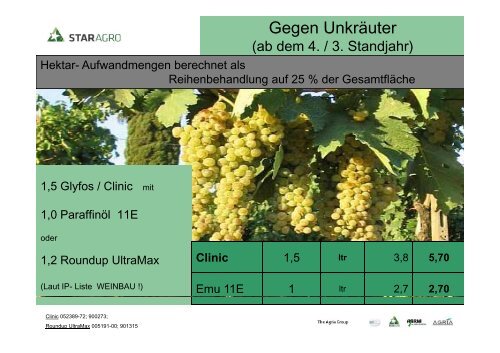 Krankheiten und Schädlinge im Weinbau