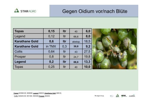 Krankheiten und Schädlinge im Weinbau