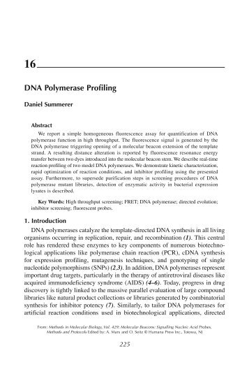 DNA Polymerase Profiling - Molecular Beacons