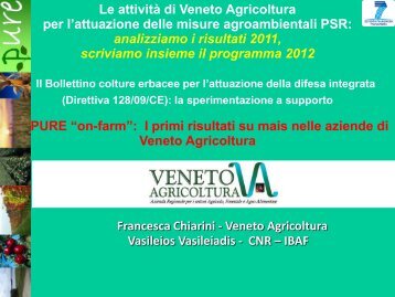 PURE “on-farm”: I primi risultati su mais - Veneto Agricoltura