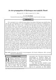 The Plant Hunter Russian Hardy