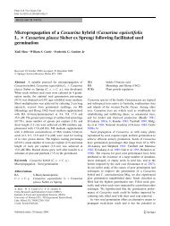 Micropropagation of a Casuarina hybrid - Citrus Research and ...