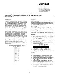 ProSieve® Unstained Protein Marker II - Lonza