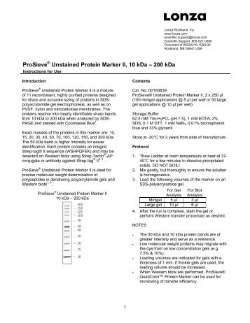 ProSieve® Unstained Protein Marker II - Lonza