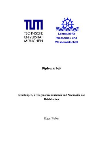 Diplomarbeit - Ronald Haselsteiner