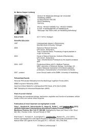 cv_lember_marius (PDF / 162.8 KB) - CellNetworks