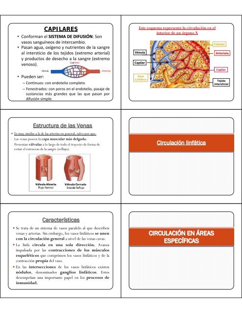 Sistema Porta Hipofisario