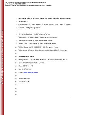 Four amino acids of an insect densovirus capsid - Journal of ...