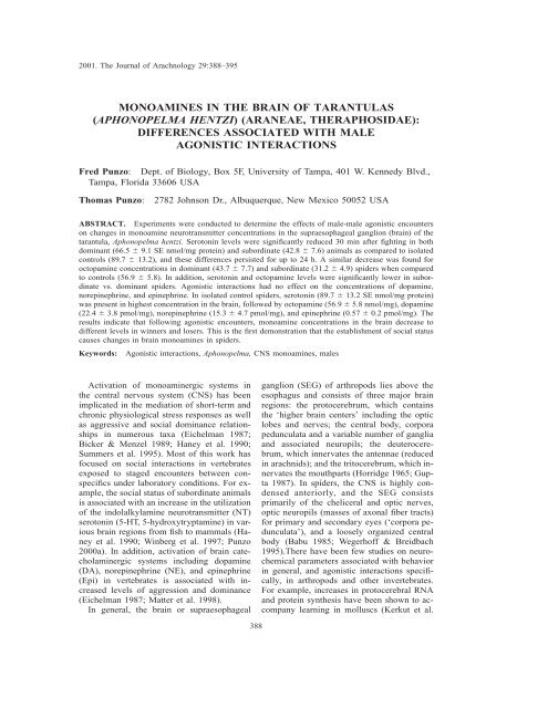monoamines in the brain of tarantulas - American Arachnological ...
